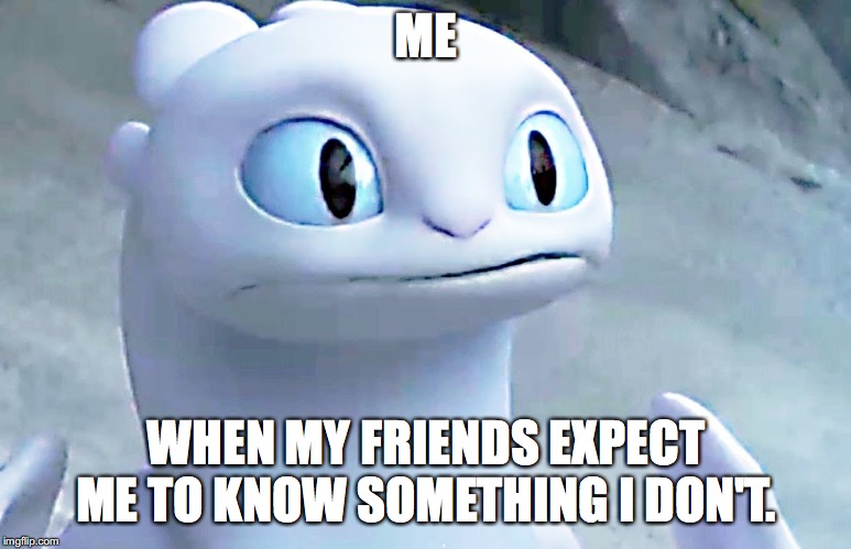 Light fury | ME; WHEN MY FRIENDS EXPECT ME TO KNOW SOMETHING I DON'T. | image tagged in light fury | made w/ Imgflip meme maker