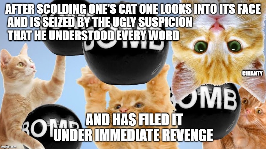 Scolding | AFTER SCOLDING ONE'S CAT ONE LOOKS INTO ITS FACE
 AND IS SEIZED BY THE UGLY SUSPICION
 THAT HE UNDERSTOOD EVERY WORD; CHIANTY; AND HAS FILED IT UNDER IMMEDIATE REVENGE | image tagged in revenge | made w/ Imgflip meme maker