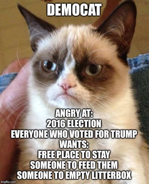 Grumpy Cat | DEMOCAT; ANGRY AT:
2016 ELECTION
EVERYONE WHO VOTED FOR TRUMP

WANTS:
FREE PLACE TO STAY
SOMEONE TO FEED THEM
SOMEONE TO EMPTY LITTERBOX | image tagged in memes,grumpy cat | made w/ Imgflip meme maker