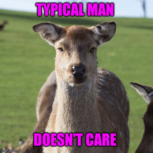 TYPICAL MAN DOESN'T CARE | made w/ Imgflip meme maker