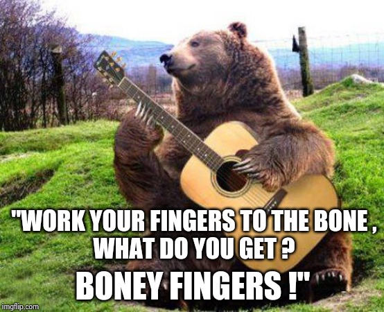 bear with guitar  | "WORK YOUR FINGERS TO THE BONE ,
WHAT DO YOU GET ? BONEY FINGERS !" | image tagged in bear with guitar | made w/ Imgflip meme maker