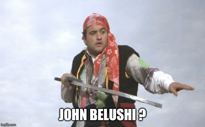 Pirate Belushi | JOHN BELUSHI ? | image tagged in pirate belushi | made w/ Imgflip meme maker