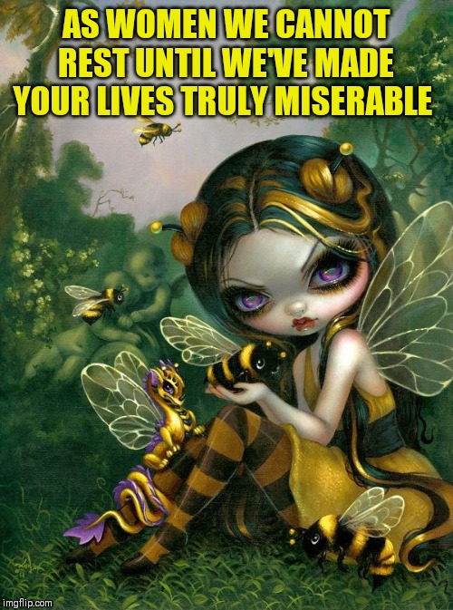 AS WOMEN WE CANNOT REST UNTIL WE'VE MADE YOUR LIVES TRULY MISERABLE | made w/ Imgflip meme maker