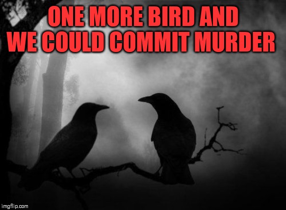 ONE MORE BIRD AND WE COULD COMMIT MURDER | made w/ Imgflip meme maker