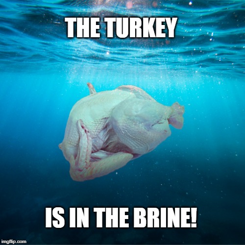 Turkey in the brine | THE TURKEY; IS IN THE BRINE! | image tagged in turkey in the brine | made w/ Imgflip meme maker