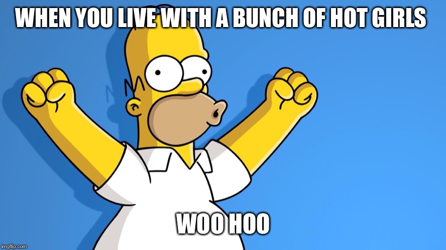 Homer Simpson woo hoo | WHEN YOU LIVE WITH A BUNCH OF HOT GIRLS; WOO HOO | image tagged in homer simpson woo hoo | made w/ Imgflip meme maker