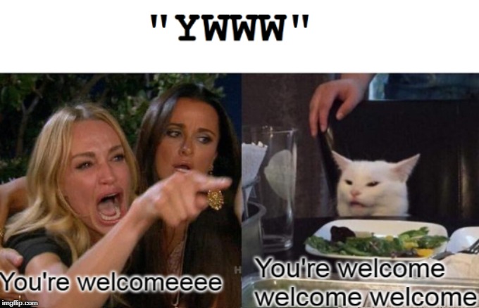 YOU'RE WELCOME | image tagged in you're welcome,woman yelling at cat,cats,cat,funny cats,misinterpretation | made w/ Imgflip meme maker