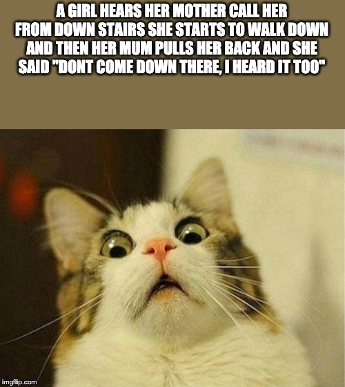 holy sh*t |  A GIRL HEARS HER MOTHER CALL HER FROM DOWN STAIRS SHE STARTS TO WALK DOWN AND THEN HER MUM PULLS HER BACK AND SHE SAID ''DONT COME DOWN THERE, I HEARD IT TOO'' | image tagged in memes,scared cat,haunted,scary | made w/ Imgflip meme maker