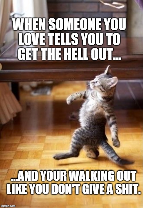 Cool Cat Stroll Meme | WHEN SOMEONE YOU LOVE TELLS YOU TO GET THE HELL OUT... ...AND YOUR WALKING OUT LIKE YOU DON'T GIVE A SHIT. | image tagged in memes,cool cat stroll | made w/ Imgflip meme maker