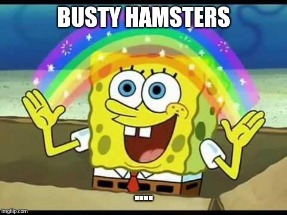 spongebob imagination | BUSTY HAMSTERS; .... | image tagged in spongebob imagination | made w/ Imgflip meme maker