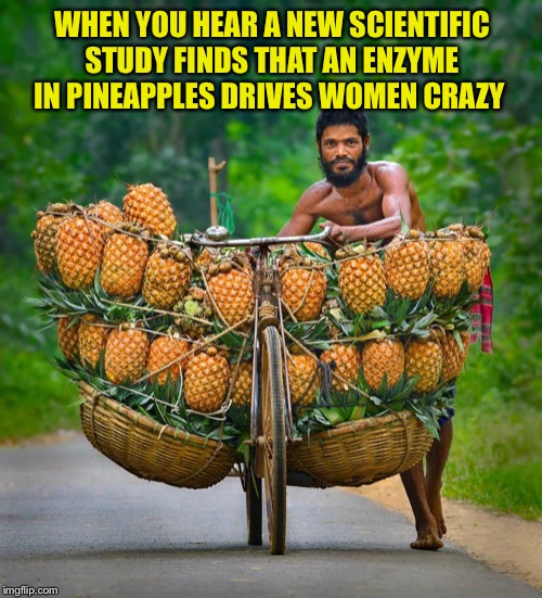 Pina Coladas, ladies? | WHEN YOU HEAR A NEW SCIENTIFIC STUDY FINDS THAT AN ENZYME IN PINEAPPLES DRIVES WOMEN CRAZY | image tagged in pineapple,guy,the ladies man,funny memes | made w/ Imgflip meme maker