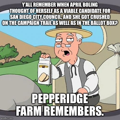 April Boling sucks | Y’ALL REMEMBER WHEN APRIL BOLING THOUGHT OF HERSELF AS A VIABLE CANDIDATE FOR SAN DIEGO CITY COUNCIL, AND SHE GOT CRUSHED ON THE CAMPAIGN TRAIL AS WELL AS IN THE BALLOT BOX? PEPPERIDGE FARM REMEMBERS. | image tagged in memes,pepperidge farm remembers,april boling,san diego,vote,sucks | made w/ Imgflip meme maker