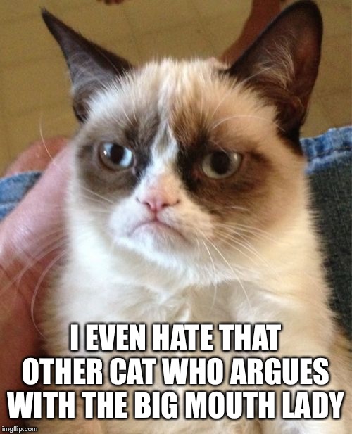 Grumpy Cat Meme | I EVEN HATE THAT OTHER CAT WHO ARGUES WITH THE BIG MOUTH LADY | image tagged in memes,grumpy cat | made w/ Imgflip meme maker