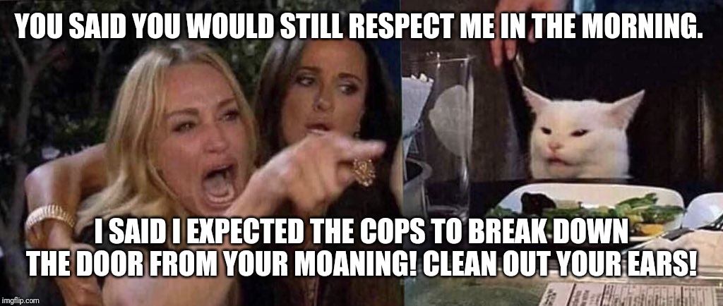 woman yelling at cat | YOU SAID YOU WOULD STILL RESPECT ME IN THE MORNING. I SAID I EXPECTED THE COPS TO BREAK DOWN THE DOOR FROM YOUR MOANING! CLEAN OUT YOUR EARS! | image tagged in woman yelling at cat | made w/ Imgflip meme maker