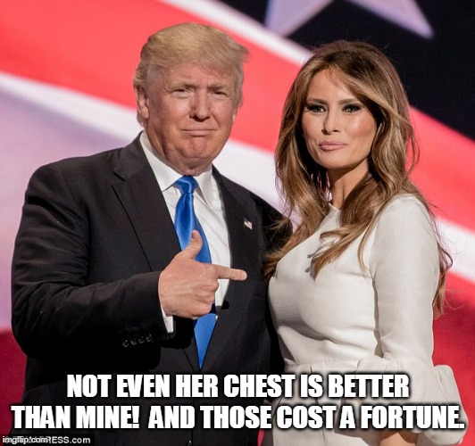 Melania's chest | NOT EVEN HER CHEST IS BETTER THAN MINE!  AND THOSE COST A FORTUNE. | image tagged in melania's chest | made w/ Imgflip meme maker