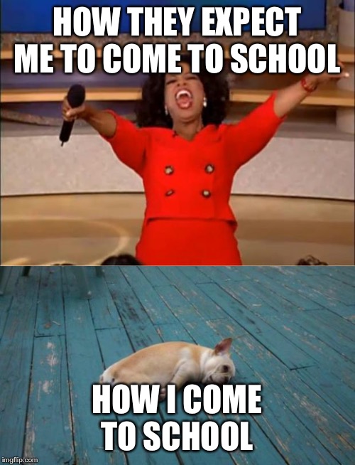 School sucks... | HOW THEY EXPECT ME TO COME TO SCHOOL; HOW I COME TO SCHOOL | image tagged in tired dog,memes,oprah you get a | made w/ Imgflip meme maker