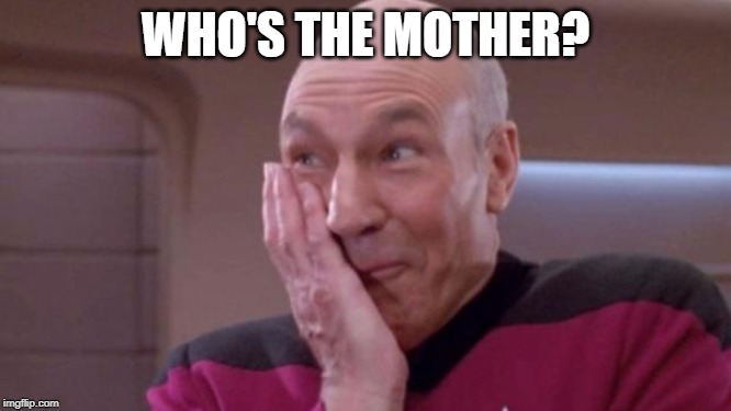 picard oops | WHO'S THE MOTHER? | image tagged in picard oops | made w/ Imgflip meme maker