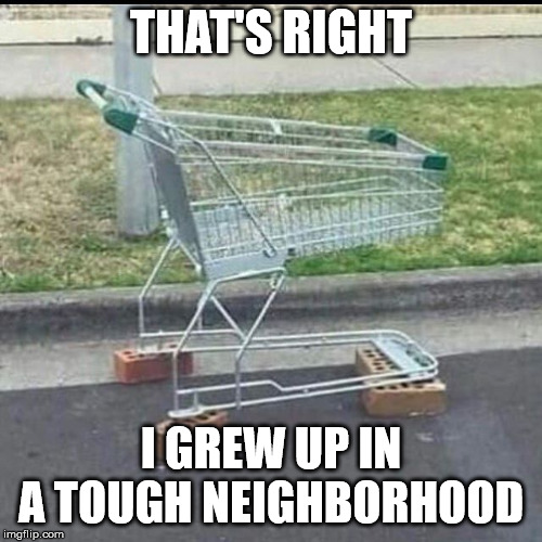 Tough Neighborhood | THAT'S RIGHT; I GREW UP IN A TOUGH NEIGHBORHOOD | image tagged in tough neighborhood | made w/ Imgflip meme maker