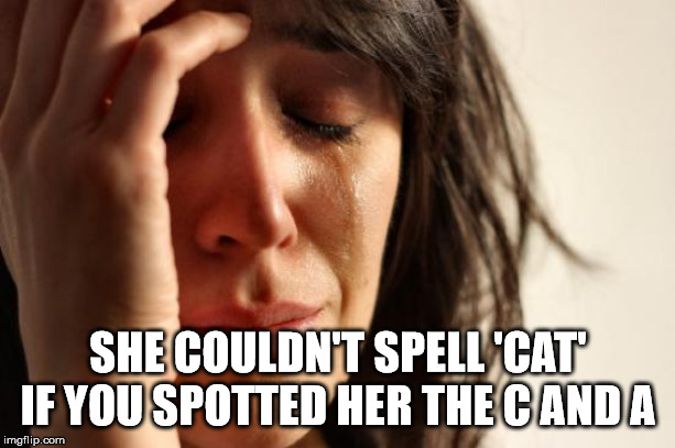 First World Problems Meme | SHE COULDN'T SPELL 'CAT' IF YOU SPOTTED HER THE C AND A | image tagged in memes,first world problems | made w/ Imgflip meme maker