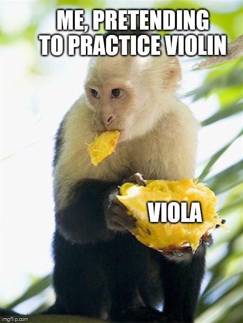 Practice violin | ME, PRETENDING TO PRACTICE VIOLIN; VIOLA | image tagged in practice,violin,viola,procrastination | made w/ Imgflip meme maker
