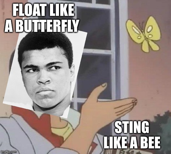 Is This A Pigeon Meme | FLOAT LIKE A BUTTERFLY; STING LIKE A BEE | image tagged in memes,is this a pigeon,muhammad ali,cassius marcellus clay jr | made w/ Imgflip meme maker