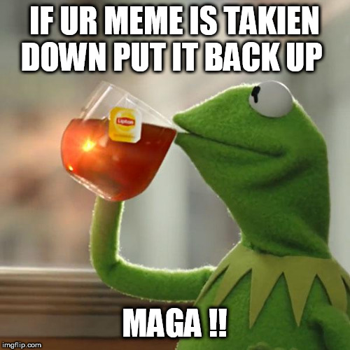 But That's None Of My Business Meme | IF UR MEME IS TAKIEN DOWN PUT IT BACK UP; MAGA !! | image tagged in memes,but thats none of my business,kermit the frog | made w/ Imgflip meme maker