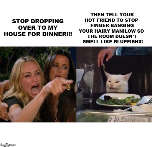 Woman Yelling At Cat Meme | STOP DROPPING OVER TO MY HOUSE FOR DINNER!!! THEN TELL YOUR HOT FRIEND TO STOP 
FINGER-BANGING YOUR HAIRY MANILOW SO 
THE ROOM DOESN'T  SMELL LIKE BLUEFISH!!! | image tagged in memes,woman yelling at cat | made w/ Imgflip meme maker
