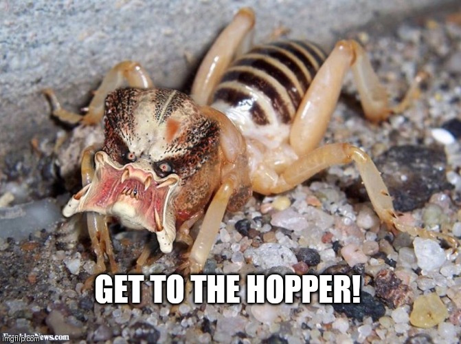 Grasshopper chopper | GET TO THE HOPPER! | image tagged in arnold schwarzenegger | made w/ Imgflip meme maker