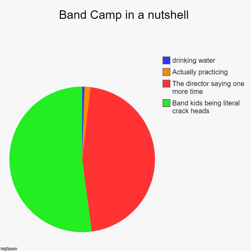 Band Camp in a nutshell | Band kids being literal crack heads, The director saying one more time, Actually practicing, drinking water | image tagged in charts,pie charts | made w/ Imgflip chart maker