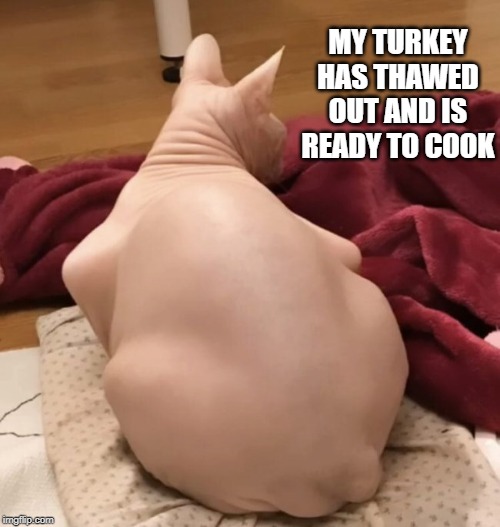 MY TURKEY HAS THAWED OUT AND IS READY TO COOK | image tagged in thanksgiving | made w/ Imgflip meme maker