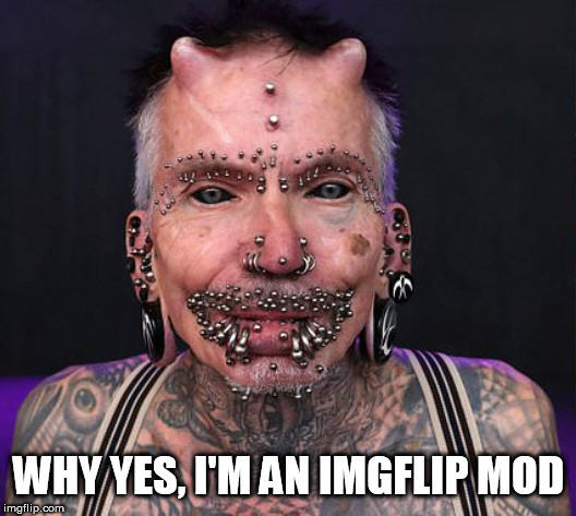 Go bernie | WHY YES, I'M AN IMGFLIP MOD | image tagged in go bernie | made w/ Imgflip meme maker
