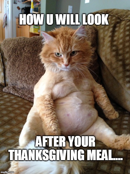 HOW U WILL LOOK; AFTER YOUR THANKSGIVING MEAL.... | image tagged in happy thanksgiving | made w/ Imgflip meme maker