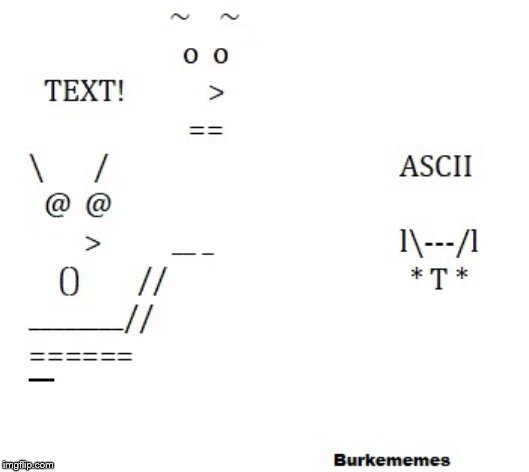 Text Woman yelling at ASCII Cat | image tagged in woman yelling at cat | made w/ Imgflip meme maker