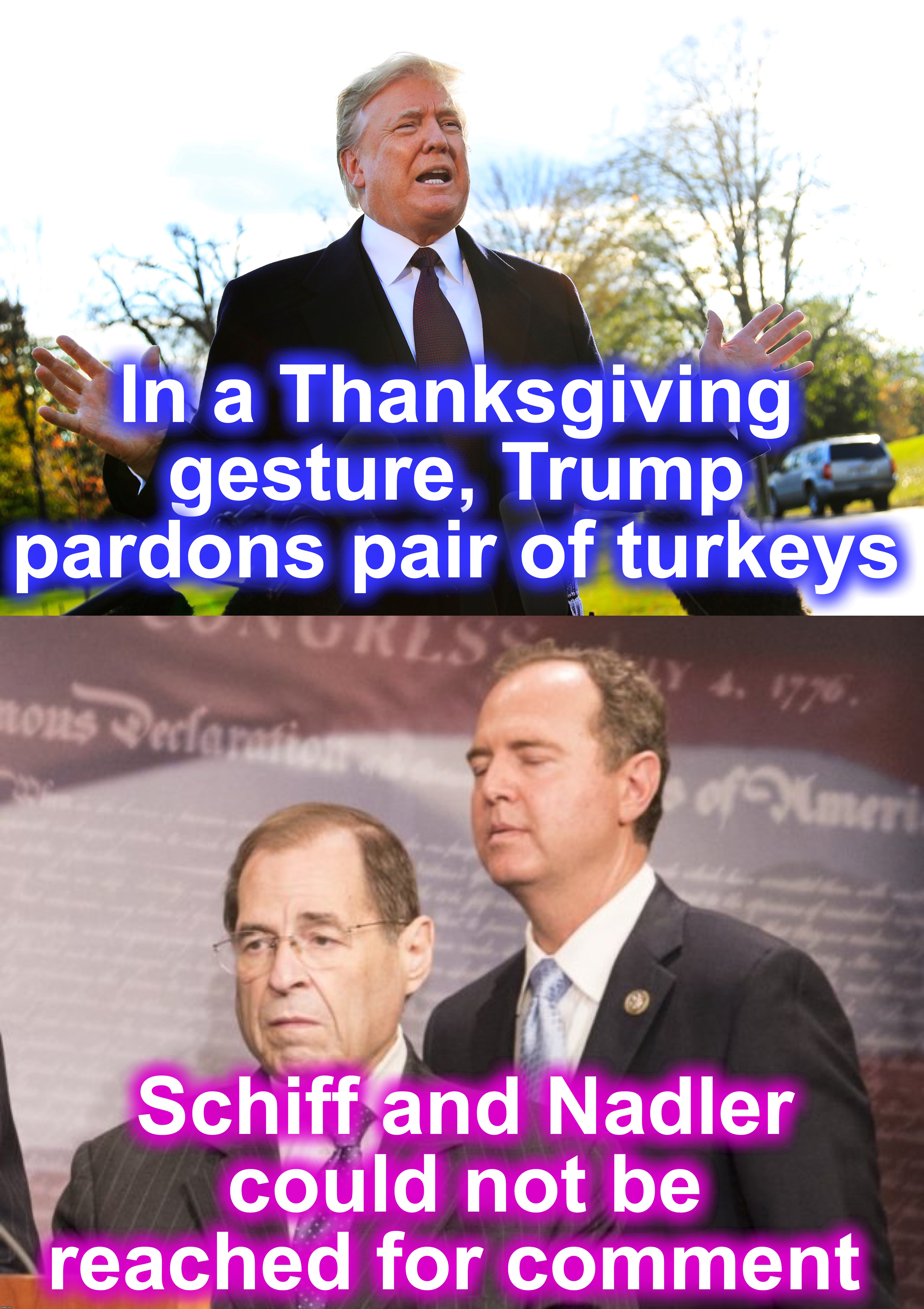 In a Thanksgiving gesture, Trump pardons pair of turkeys; Schiff and Nadler could not be reached for comment | image tagged in turkey,pardon,adam schiff | made w/ Imgflip meme maker