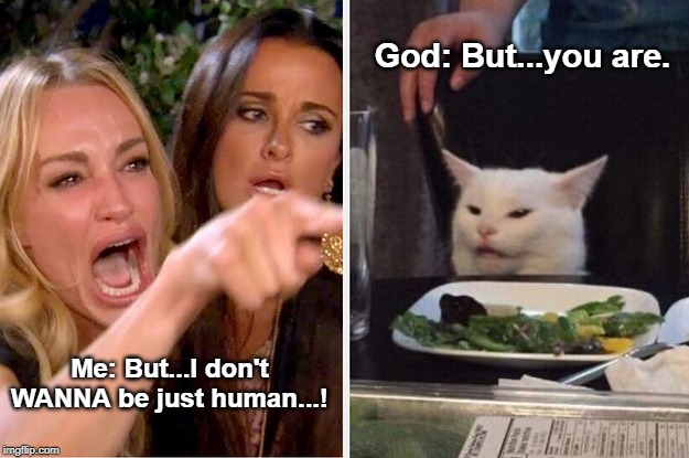 God: But...you are. Me: But...I don't WANNA be just human...! | image tagged in truth | made w/ Imgflip meme maker