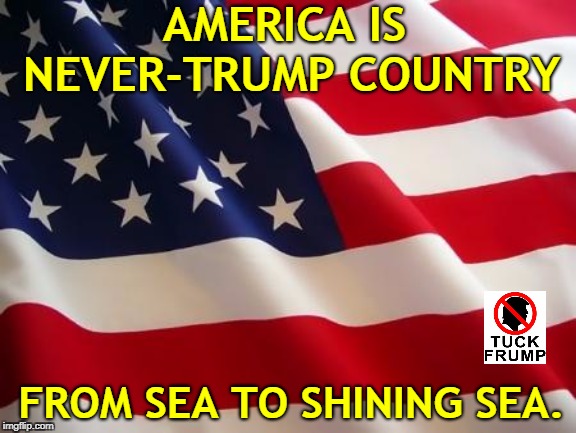 Just say no. | AMERICA IS 
NEVER-TRUMP COUNTRY; FROM SEA TO SHINING SEA. | image tagged in american flag,trump,never trump,america the beautiful | made w/ Imgflip meme maker