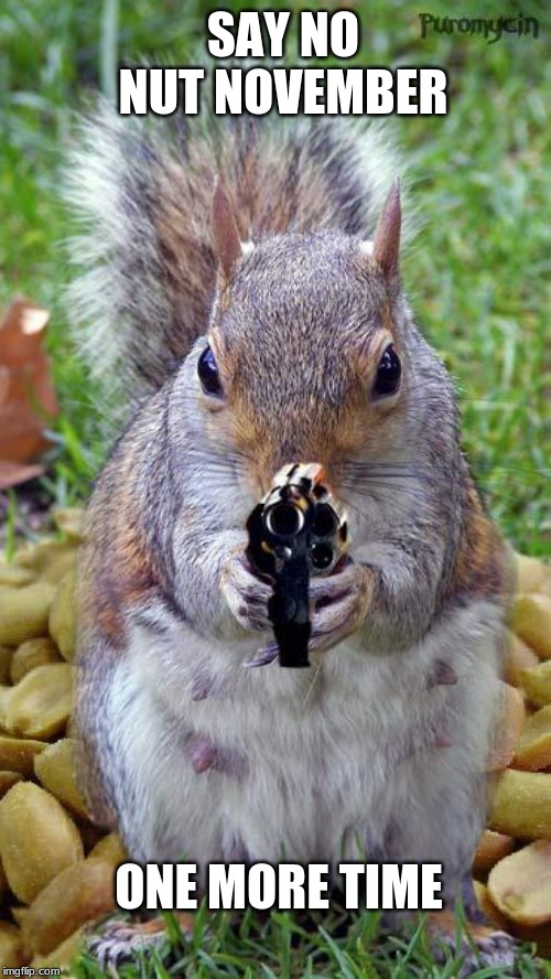 funny squirrels with guns (5) | SAY NO NUT NOVEMBER; ONE MORE TIME | image tagged in funny squirrels with guns 5 | made w/ Imgflip meme maker