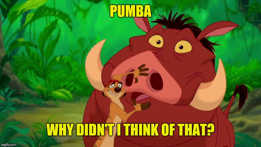 timone pumbaa | PUMBA WHY DIDN'T I THINK OF THAT? | image tagged in timone pumbaa | made w/ Imgflip meme maker