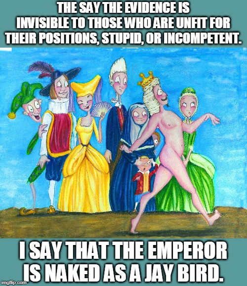 The Emperor's new clothes | THE SAY THE EVIDENCE IS INVISIBLE TO THOSE WHO ARE UNFIT FOR THEIR POSITIONS, STUPID, OR INCOMPETENT. I SAY THAT THE EMPEROR IS NAKED AS A J | image tagged in the emperor's new clothes | made w/ Imgflip meme maker