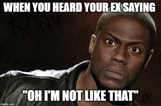 Kevin Hart Meme | WHEN YOU HEARD YOUR EX SAYING; "OH I'M NOT LIKE THAT" | image tagged in memes,kevin hart | made w/ Imgflip meme maker