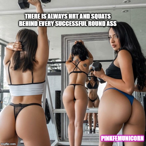 THERE IS ALWAYS HRT AND SQUATS BEHIND EVERY SUCCESSFUL ROUND ASS; PINKFEMUNICORN | made w/ Imgflip meme maker
