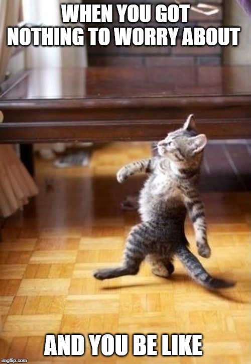 Cool Cat Stroll Meme | WHEN YOU GOT NOTHING TO WORRY ABOUT; AND YOU BE LIKE | image tagged in memes,cool cat stroll | made w/ Imgflip meme maker