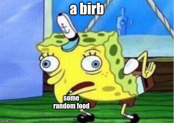 Mocking Spongebob Meme | a birb; some random food | image tagged in memes,mocking spongebob | made w/ Imgflip meme maker