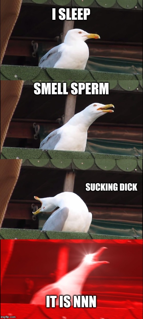 Inhaling Seagull | I SLEEP; SMELL SPERM; SUCKING DICK; IT IS NNN | image tagged in memes,inhaling seagull | made w/ Imgflip meme maker