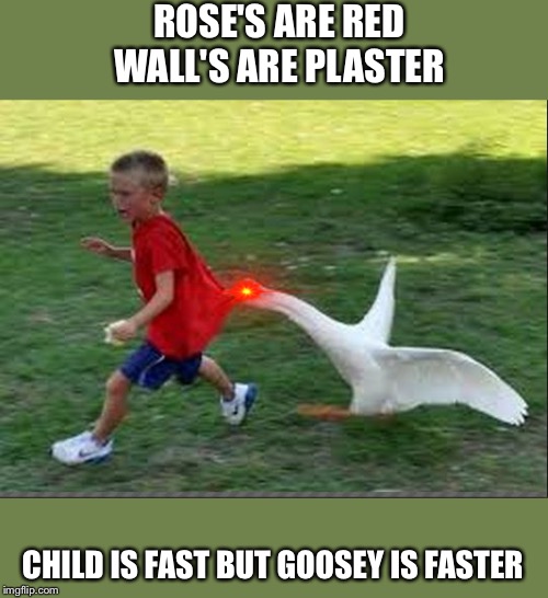 goose chase | ROSE'S ARE RED
WALL'S ARE PLASTER; CHILD IS FAST BUT GOOSEY IS FASTER | image tagged in goose chase | made w/ Imgflip meme maker