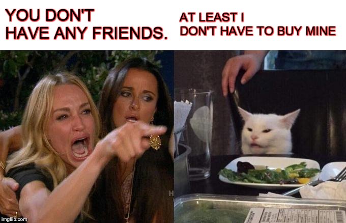 Woman Yelling At Cat Meme | YOU DON'T HAVE ANY FRIENDS. AT LEAST I DON'T HAVE TO BUY MINE | image tagged in memes,woman yelling at cat | made w/ Imgflip meme maker