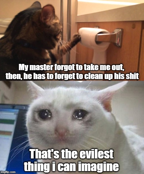 Evil cat | My master forgot to take me out, 
then, he has to forget to clean up his shit; That's the evilest thing i can imagine | image tagged in cat | made w/ Imgflip meme maker
