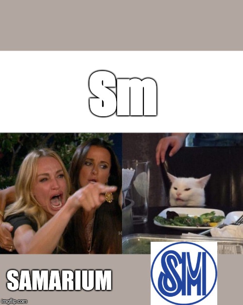 two woman yelling at a cat | Sm; SAMARIUM | image tagged in two woman yelling at a cat | made w/ Imgflip meme maker