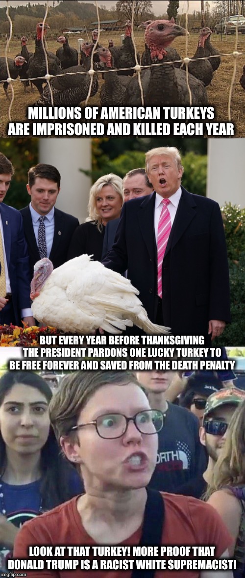 MILLIONS OF AMERICAN TURKEYS ARE IMPRISONED AND KILLED EACH YEAR; BUT EVERY YEAR BEFORE THANKSGIVING THE PRESIDENT PARDONS ONE LUCKY TURKEY TO BE FREE FOREVER AND SAVED FROM THE DEATH PENALTY; LOOK AT THAT TURKEY! MORE PROOF THAT DONALD TRUMP IS A RACIST WHITE SUPREMACIST! | image tagged in memes,funny,racism,white supremacists,triggered liberal,thanksgiving | made w/ Imgflip meme maker