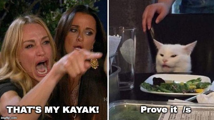 Angry lady cat | Prove it  /s; THAT'S MY KAYAK! | image tagged in angry lady cat | made w/ Imgflip meme maker